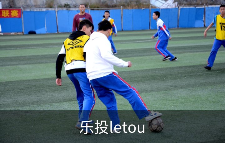 了解乐投letou