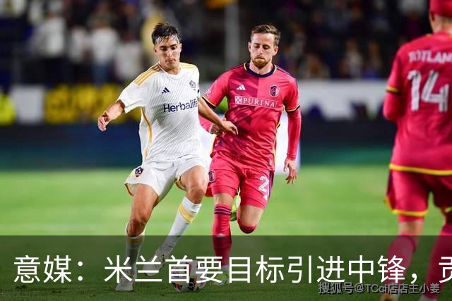 意媒：米兰首要目标引进中锋，贡萨洛·拉莫斯和努涅斯都是候选