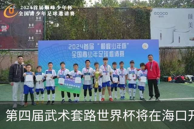 第四届武术套路世界杯将在海口开赛 30多个国家和地区人员参赛